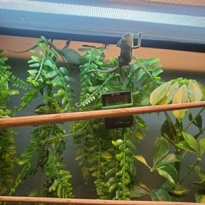 Meet your Posher, Bethany